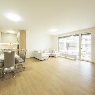 Pronájem bytu 4+kk 128 m² Ostrava, Důlní