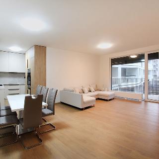 Pronájem bytu 4+kk 128 m² Ostrava, Důlní