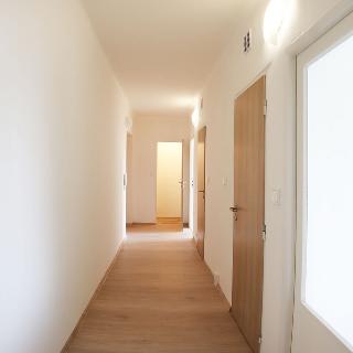 Pronájem bytu 2+1 54 m² Ostrava, Ahepjukova