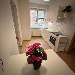 Prodej bytu 1+1 40 m² Ostrava, Sládkova