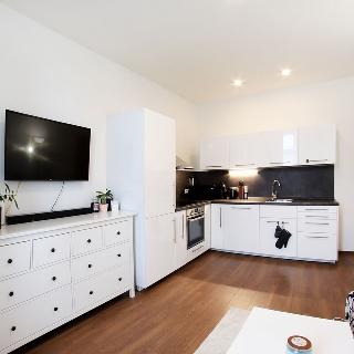 Pronájem bytu 2+kk 39 m² Ostrava, Hornopolní