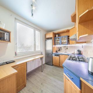 Prodej bytu 3+1 76 m² Orlová, Lesní