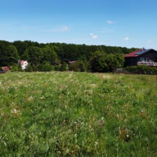 Prodej stavební parcely 4 052 m² Šenov