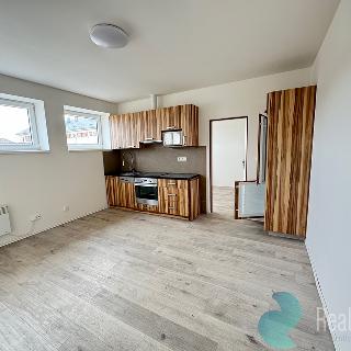 Pronájem bytu 2+kk 45 m² Kaplice, Omlenická