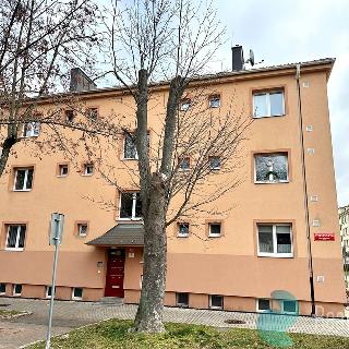 Pronájem bytu 2+1 56 m² České Budějovice, Neplachova