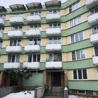 Pronájem bytu 1+1 45 m² České Budějovice, Plzeňská