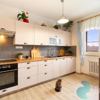 Prodej bytu 3+1 85 m² Nová Pec, 