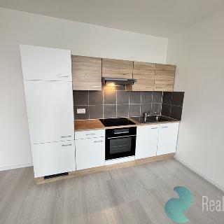 Pronájem bytu 1+1 40 m² České Budějovice, Labská