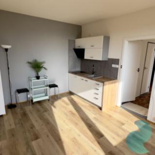 Pronájem bytu 1+1 49 m² České Budějovice