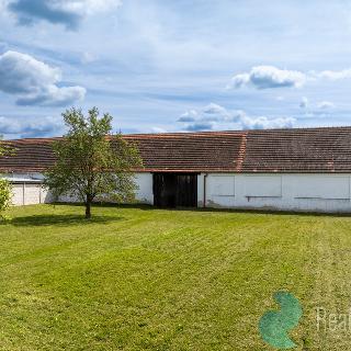 Prodej rodinného domu 300 m² Hrdějovice, Školní