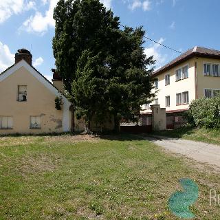 Prodej zemědělské usedlosti 4 252 m² Sedlčany, 