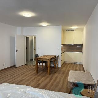 Pronájem bytu 1+kk a garsoniéry 29 m² České Budějovice, Česká