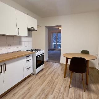 Pronájem bytu 2+1 52 m² České Budějovice, Čéčova