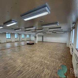 Pronájem Ostatních komerčních prostor 300 m&sup2; České Budějovice