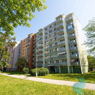 Prodej bytu 3+1 76 m² České Budějovice, Krčínova