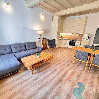 Pronájem bytu 2+kk 56 m² České Budějovice, Česká