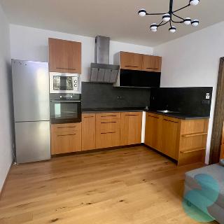 Pronájem bytu 2+kk 41 m² České Budějovice, Prachatická