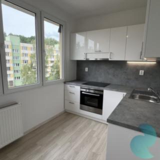 Pronájem bytu 1+1 40 m² Český Krumlov, Sídliště Plešivec