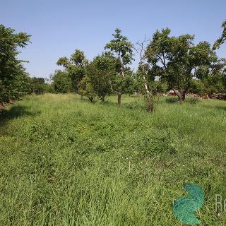 Prodej stavební parcely 885 m² Litobratřice