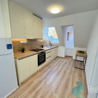 Pronájem bytu 1+1 43 m² České Budějovice, Česká