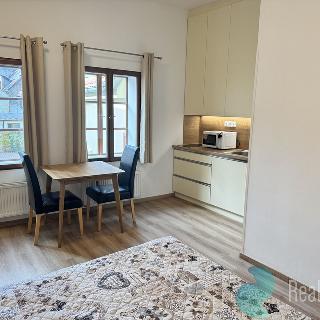 Pronájem bytu 1+kk a garsoniéry 19 m² České Budějovice, Česká