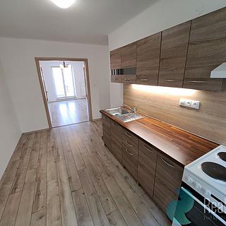 Pronájem bytu 2+1 50 m&sup2; České Budějovice