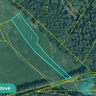 Prodej podílu louky 1215 m&sup2; Čížová