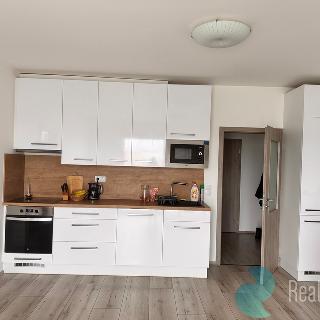 Pronájem bytu 2+kk 53 m² České Budějovice, Na Zlaté stoce