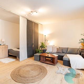 Prodej bytu 1+1 42 m&sup2; Lišov