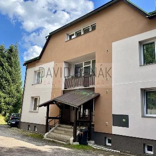 Prodej bytu 3+1 75 m² Pec pod Sněžkou