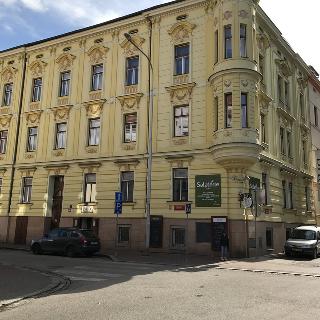 Pronájem bytu 1+1 30 m² České Budějovice, Riegrova