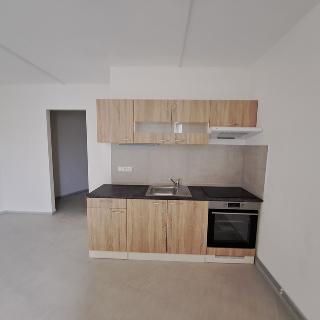 Pronájem bytu 1+kk a garsoniéry 45 m² Plzeň, Rejskova