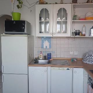 Pronájem bytu 2+1 70 m² Město Touškov, Partyzánská