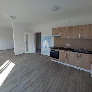 Pronájem bytu 1+kk, garsoniery 42 m² Plzeň