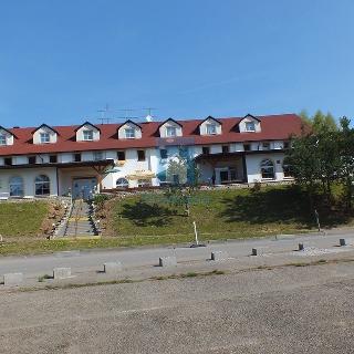 Prodej hotelu a penzionu 6 251 m² Strážný, 