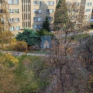 Pronájem bytu 3+1 56 m² Praha, Hlavní