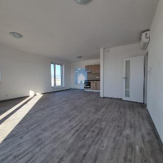 Pronájem bytu 3+kk 119 m² Plzeň, Železniční