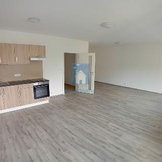 Pronájem bytu 1+kk, garsoniery 38 m² Plzeň