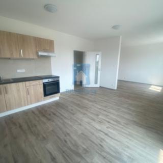 Pronájem bytu 1+kk, garsoniery 46 m² Plzeň