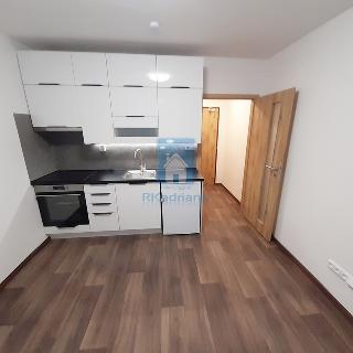 Pronájem bytu 1+kk a garsoniéry 21 m² Praha, Výletní