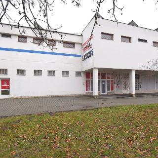 Pronájem skladu 300 m² Plzeň, Sousedská