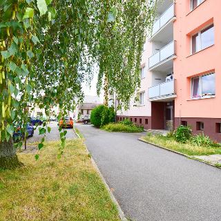 Prodej bytu 2+1 52 m² Přeštice, Rybova