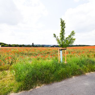 Prodej stavební parcely 3 473 m² Plzeň, 