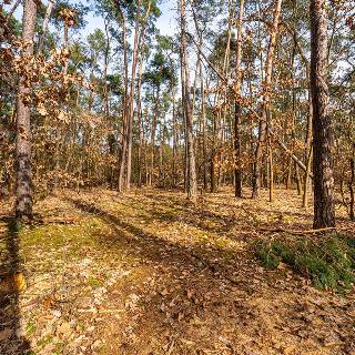 Prodej stavební parcely 4 580 m² Hradištko, Kersko