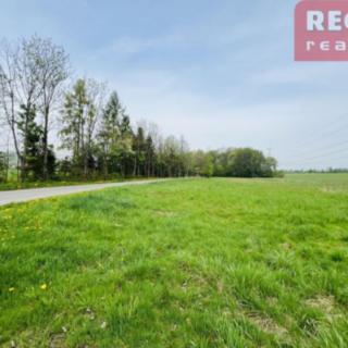 Pronájem zemědělské půdy 5400 m² Nošovice