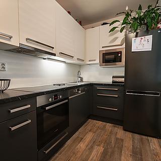 Prodej bytu 2+1 57 m&sup2; České Budějovice