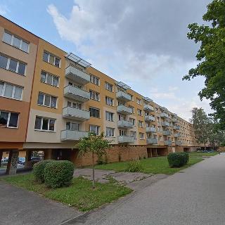 Prodej bytu 2+1 65 m² České Budějovice, Staroměstská