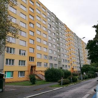 Pronájem bytu 1+kk a garsoniéry 25 m² České Budějovice, U Trojice