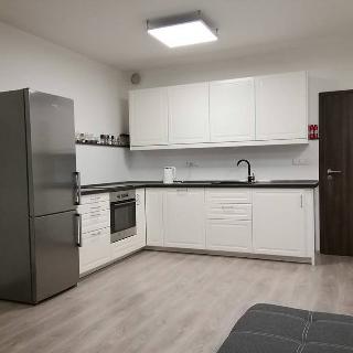 Pronájem bytu 1+kk a garsoniéry 36 m² České Budějovice, Husova tř.