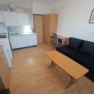 Pronájem bytu 1+kk a garsoniéry 21 m² České Budějovice, Pražská tř.